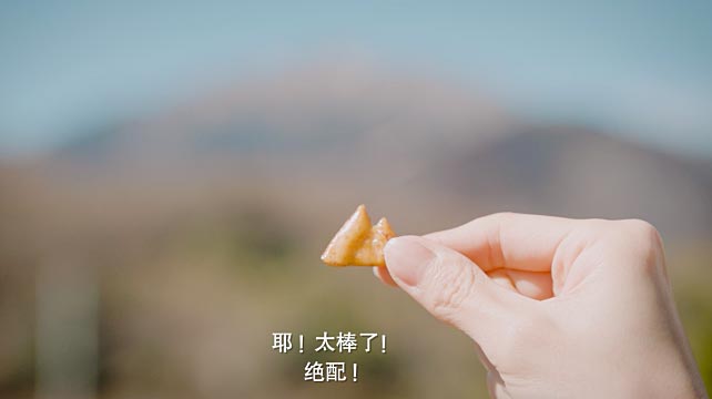 日產(chǎn)汽車(chē)與柿種餅干的故事！